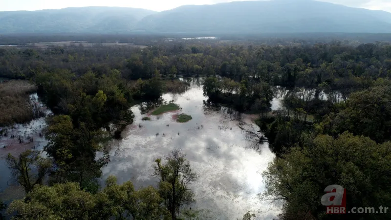 22 kilometre uzunluğu ile Türkiye'nin en uzun sahili! Sağlık turizminin gözdesi olacak 7
