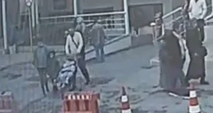 Böcek ailesinin yeni görüntüleri ortaya çıktı