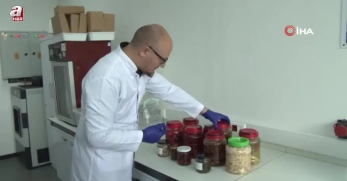Geleneksel turşular bilime konu oldu