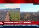 Alevlere karşı emniyet şeridi