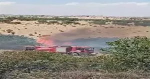 Mardin’de örtü yangını 2 saatte söndürüldü