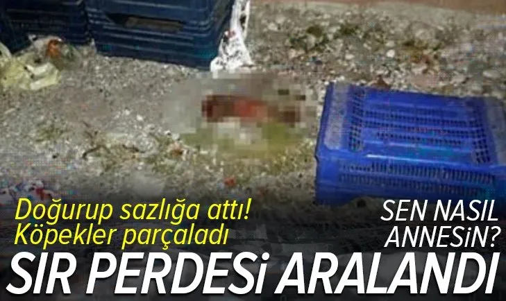 Antalya’da 7 yıl önce köpeklerin parçaladığı minik bebeği annesi sazlık alana atmış
