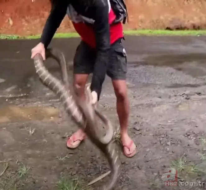 Eve giren kobra yılanıyla ölüm dansı yaptı! Tansiyon çıkaran anlar... 21