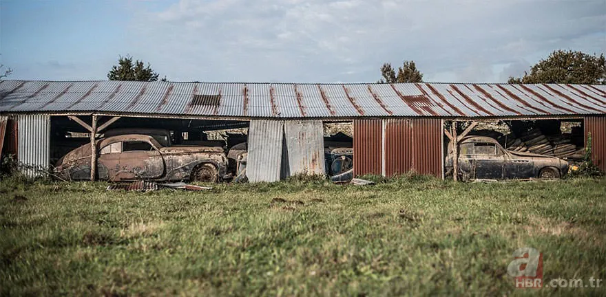 Corvette marka arabalar çürümeye terkedilmiş halde bulundu 🚗 20