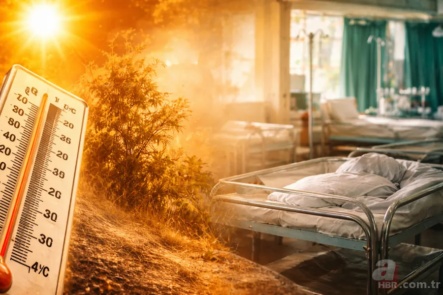 İklim krizinin görünmeyen yönü! Sıcaklık artışı bebeklerin cinsiyetini etkiliyor 6