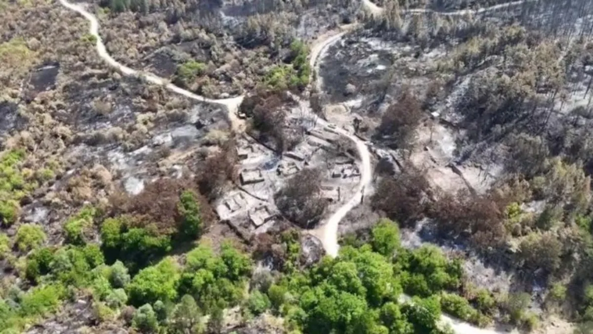 Karabük'te acı manzara! Orman yangınlarında bir mahalle yok oldu