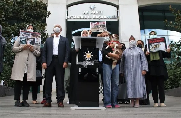 AK Parti'den CHP'li İBB'ye sert tepki! Ölen köpeğin vebali... - 6