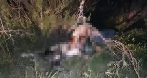 Bunun adı vahşet! Ağaca asılı halde bulundular