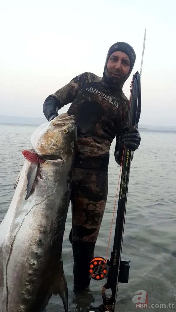 Tüpsüz dalışta, boyu büyüklüğünde balık avlıyor 10