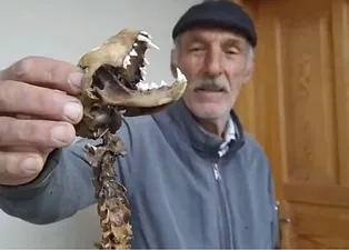 Artvin’de görenleri hayretler içinde bırakan olay! 55 santimlik iskelet