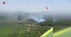 Germencik’te orman yangını