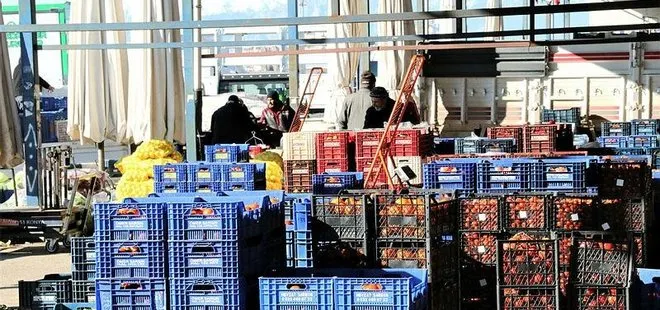 Sebzeyi don vurdu! Artan fiyatlar yarı yarıya düşecek