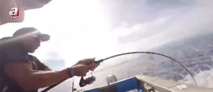 Köpek balığından balıkçıya tokat! Neye uğradığını şaşırdı