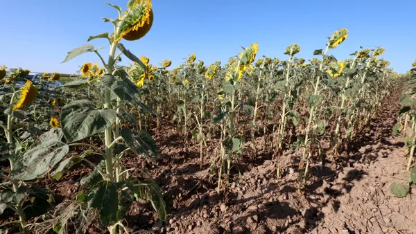 trakyada-tirtil-istilasinda-yeni-gelisme-mucadelede-sona-dogru-1658469943490.jpg Trakya’da tırtıl istilasında yeni gelişme! Mücadelede sona doğru