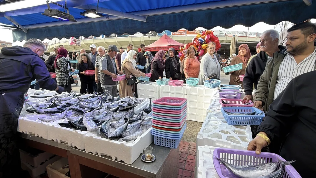 Palamut ve hamsi bolluğu! Bolu’da fiyatı 100 liraya düştü, tezgâhlarda kuyruk oluştu