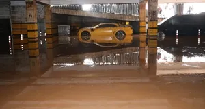 Facianın boyutu otoparkta görüntülendi!