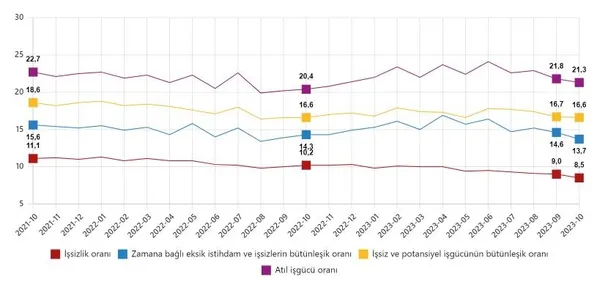 turkiyede-istihdamda-buyuk-artis-issizlik-oranlari-geriliyor-tuik-ekim-2023-isgucu-istatistikleri-1702280092276.jpeg