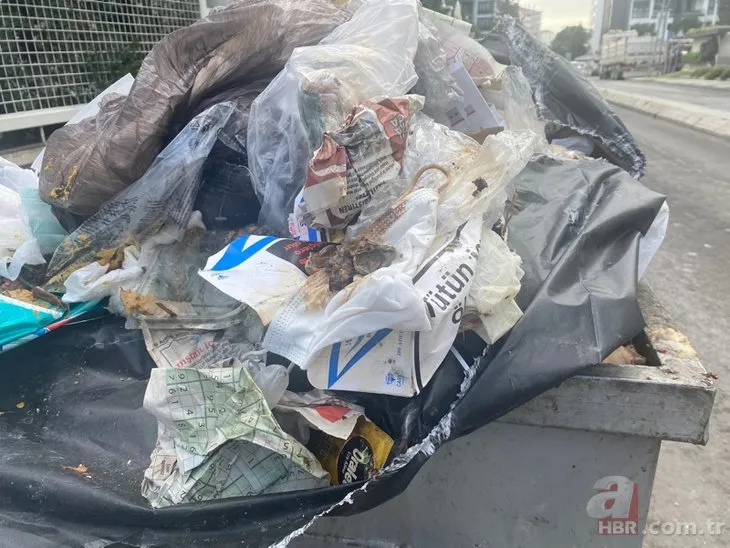 Maltepe çöplüğü: İşçiler greve gitti sokaklar pislik içinde! Uzman isimden korkutan koronavirüs uyarısı