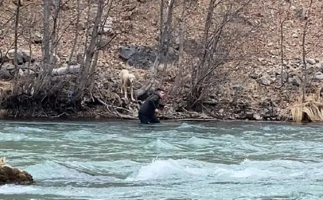 Tunceli’de köpeği kurtarmak için gözünü bile kırpmadan buz gibi suya atladı - 1