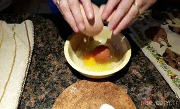 Tavuk kümesine girince gözlerine inanamadı 🐓 Beslediği tavuğun yumurtası... 14