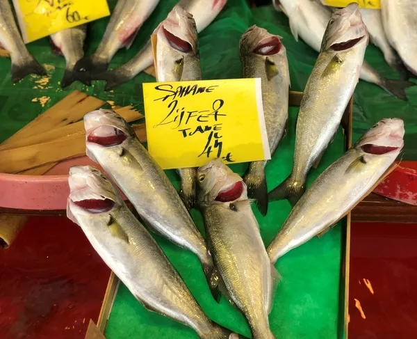 Balıkseverlere sevindiren haber! Hamsinin fiyatı düşüyor