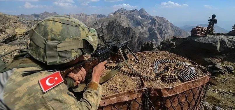 ABD Dışişleri Bakanlığı yetkilisi Türkiye'nin DEAŞ ile mücadelede "aktif" rol oynadığını belirtti