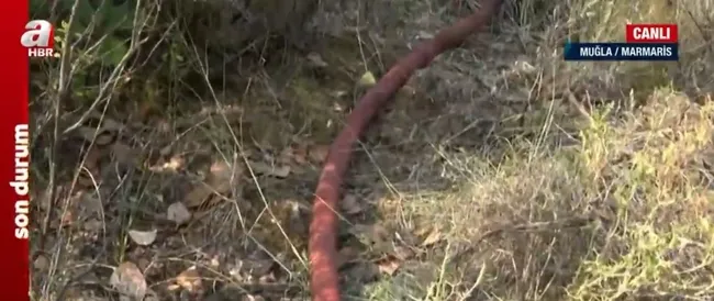 marmariste-orman-yangini-havadan-ve-karadan-mudahale-araliksiz-suruyor-1655968920032.jpg Marmaris’te orman yangını! Havadan ve karadan müdahale aralıksız sürüyor - 2