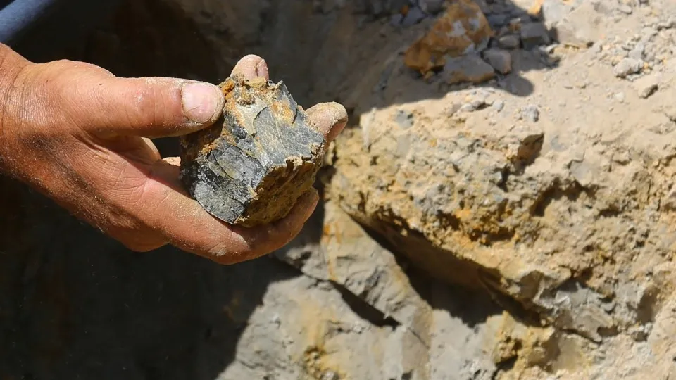 Yıllardır çıra ve kömür olarak kullandıkları şey bakın ne çıktı
