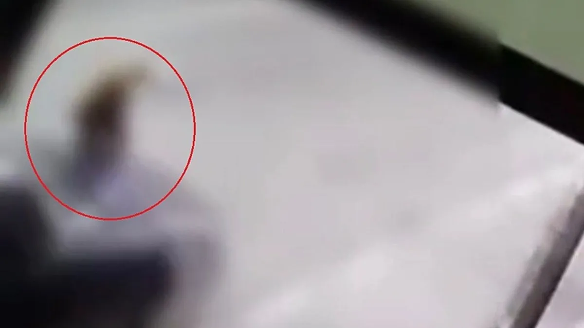 Alkollü sürücüden pes dedirten hamle: Önce kadını öldürdü sonra Türk kahvesi söyledi