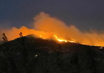 Yangınlara karşı ne kadar araç ve personel çalışıyor? Manavgat Didim Bodrum Milas'taki yangınlarda kaç kişi çalışıyor?