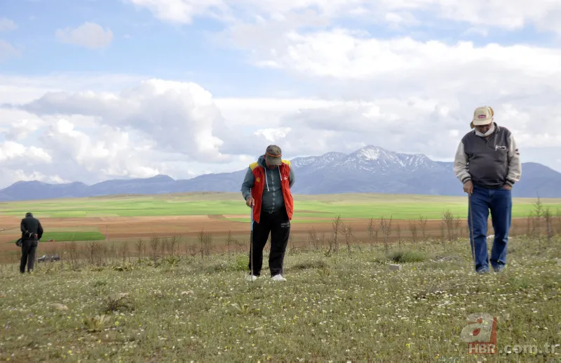 Karaman’da vatandaşlar kilosu 200 lirayı bulan domalan mantarını karış karış arıyor! 7