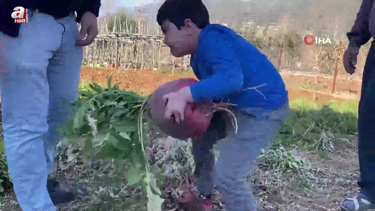 Osmaniye'de hayrete düşüren olay! Emekli öğretmen bahçesinde yetiştirdi