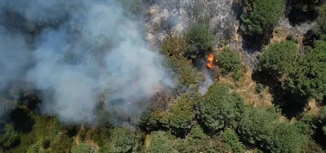 Sultangazi kent ormanında korkutan yangın