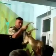 Camide şaşırtan manzara