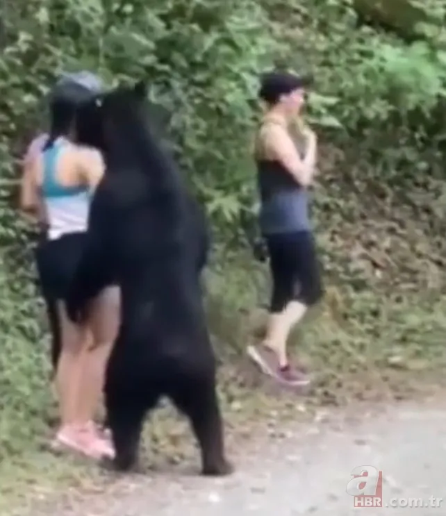 Görüntüler Erzurum’dan… Ayı çobana saldırdı! ‘Ayının altından kurtuldum ve…’🐻 7