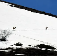 Hac 2020 son durum Hac 2020 son durum