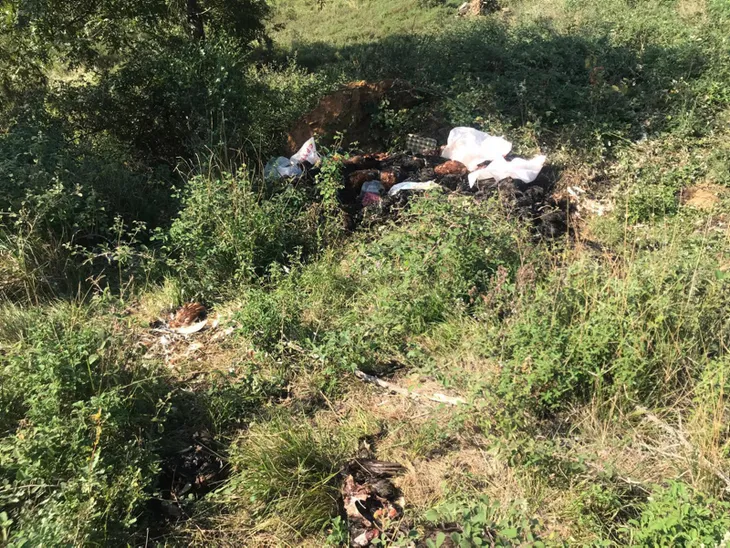 İznik'te 6 bin tavuk ölüsü bulundu - 3
