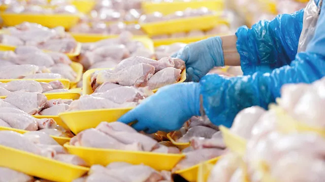 Son dakika | Ticaret Bakanlığı neşteri vurdu! Kanatlı et ihracatına sınırlama - 3