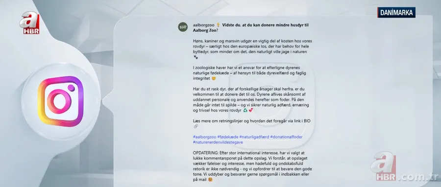 Hayvanat bahçesinden kan donduran çağrı: Evcil hayvanlarınızı yırtıcılara yem yapalım 2