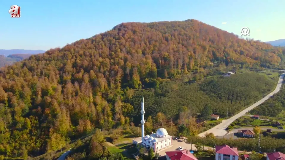 Nebiyan Dağı sonbahar renklerine büründü
