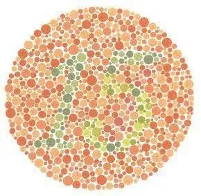 Renk körlüğü testi