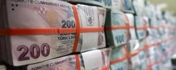 Yabancı yatırımcılar sıraya girdi! Türkiye’nin asıl hikâyesi pandemi sonrası belli olacak - 2