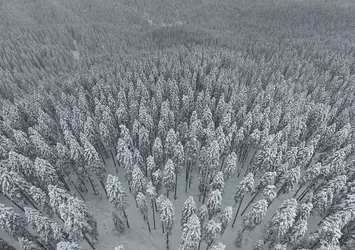 Ilgaz Dağı'nda hafta sonu yoğunluğu