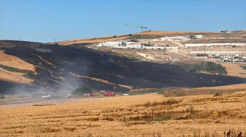 Büyükçekmece'de buğday tarlasında yangın