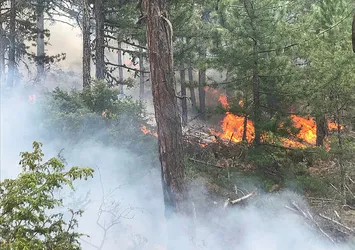 Son dakika: Uşak'ta orman yangını