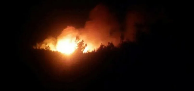 Tarihi Gelibolu Yarımadası'nda korkutan orman yangını