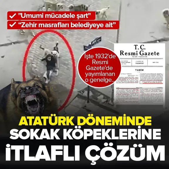 Başıboş sokak köpeği terörüne neşter! Düzenleme Meclis’e geliyor | Atatürk dönemindeki Resmi Gazete’de sokak köpeği sorununa itlaflı çözüm