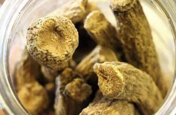 Koronavirüse savaş açan udi hindi kilosu 250 TL'den satılıyor! Dünya udi hindi peşinde - 4