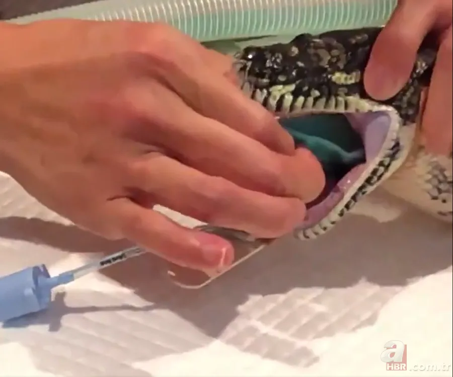 Bir yılan bunu neden yer? Pitonu ameliyat eden veterinerlerden sevinç çığlıkları 10