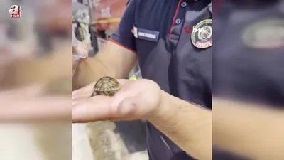 Alevlerin ortasında bir damla hayat